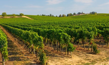 hírlevél_091110_01